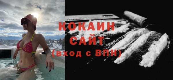 тгк Алексин
