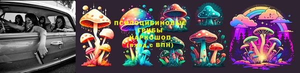 соль ск Абаза