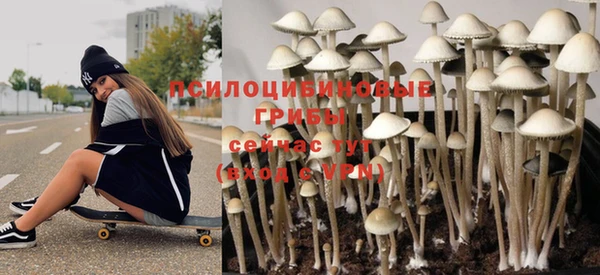 тгк Алексин