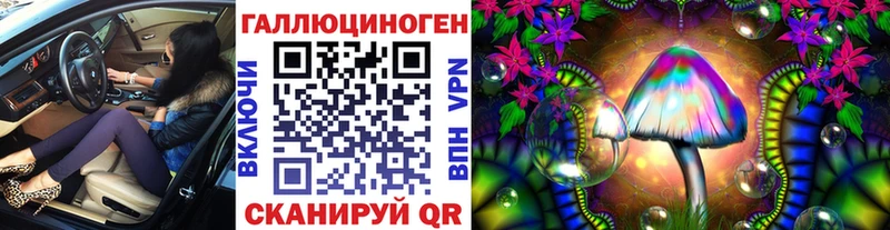 кракен вход  где купить наркоту  Чулым  Галлюциногенные грибы Cubensis 