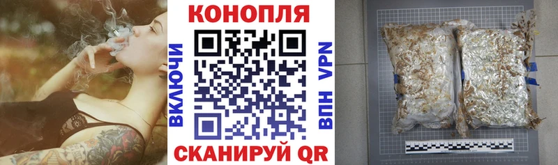Канабис OG Kush где найти Чулым